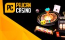 Pelican Casino Game Review for New Zealand Players